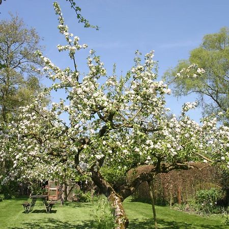 B&B De Leeghpoel Rumpt Buitenkant foto